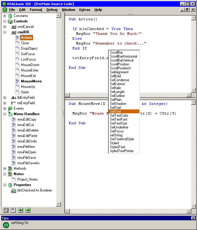 Snapshot - REALbasic IDE (code)